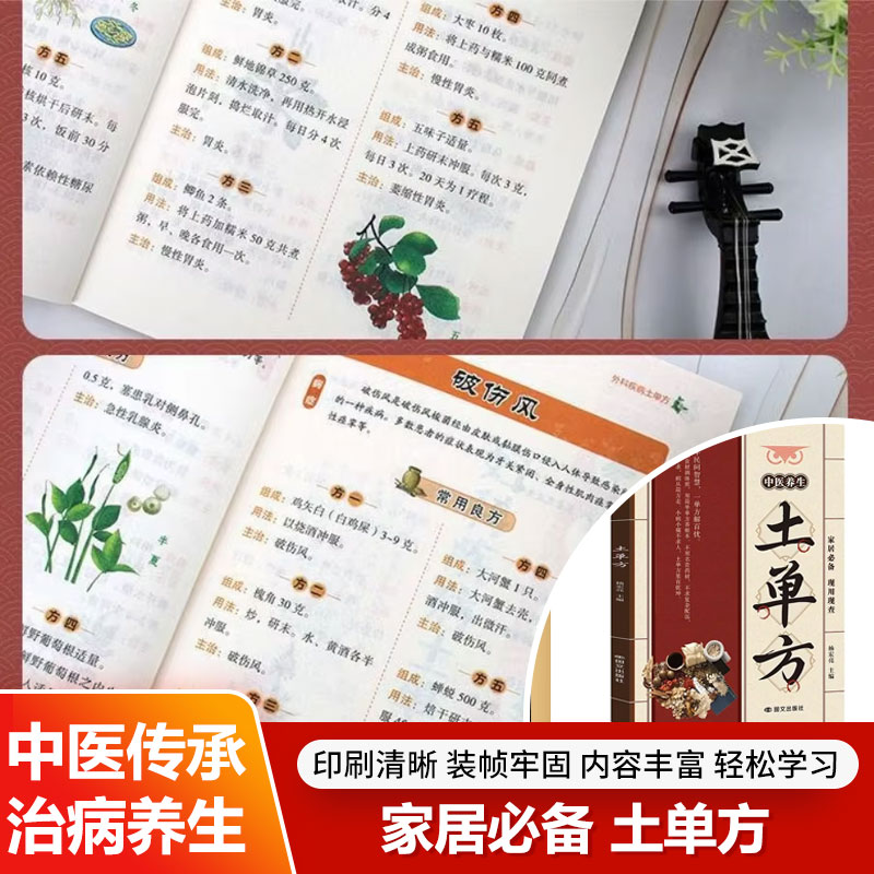 Wellness Herbal Medicine - Traditionelle Chinesische Medizin Hausmittel Praktische Kräuterrezepte