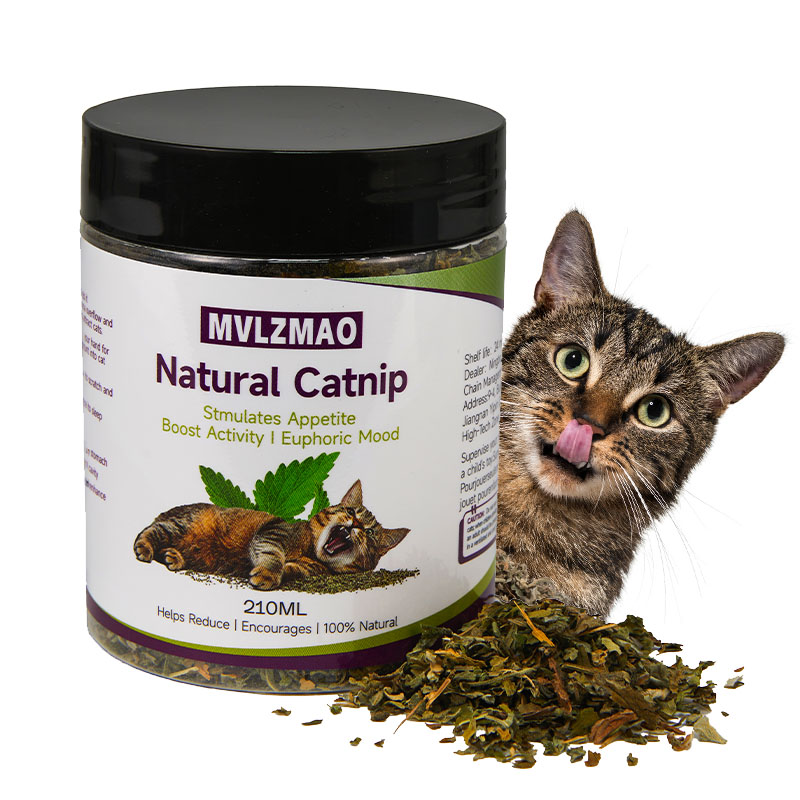 Herbal Wellness Supplement - Katzenspielzeug – Silvervine-Katzenminze für Katzen, 100