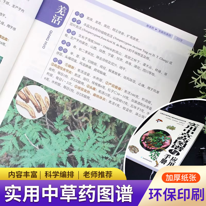 Praktischer Kräuteratlas & Han – Wellness Herbal Medicine Bewertung und Preis