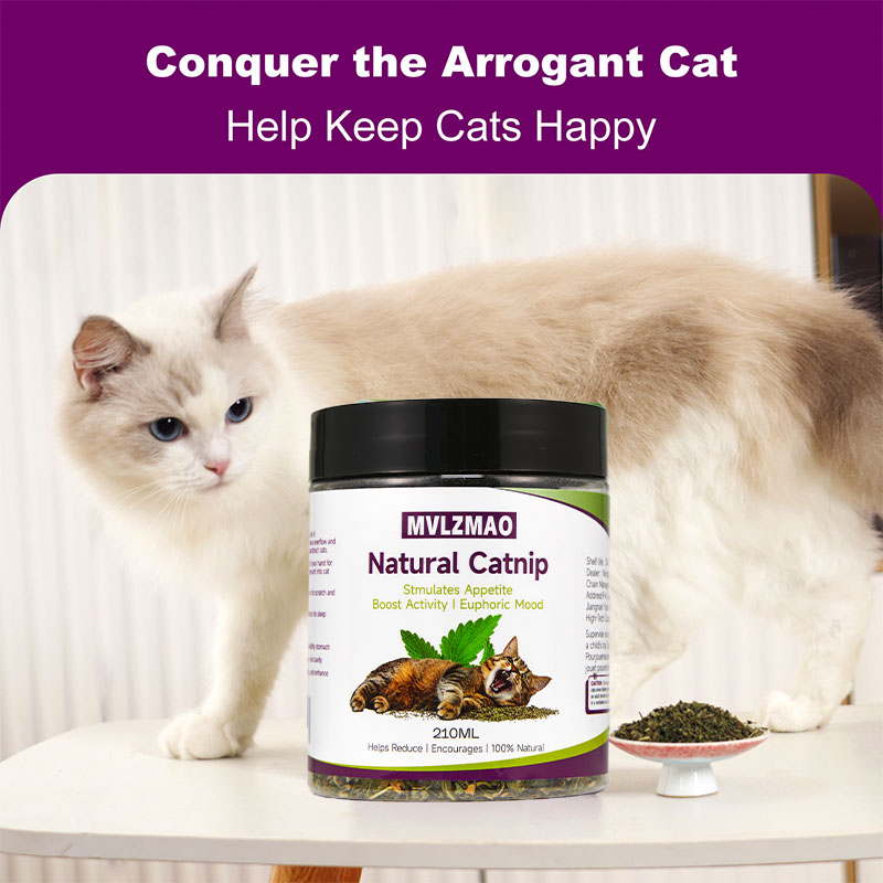 Katzenspielzeug – Silvervine-K – Herbal Wellness Supplement Bewertung und Preis