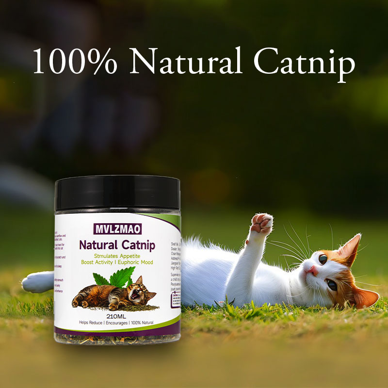 Katzenspielzeug – Silvervine-K – Herbal Wellness Supplement Bewertung und Preis