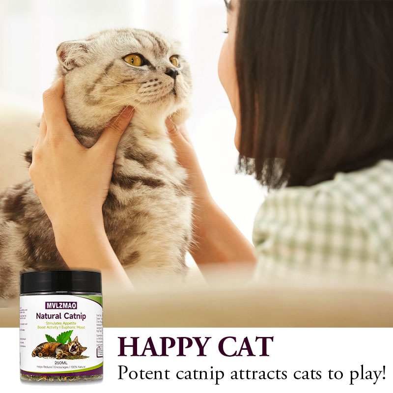 Katzenspielzeug – Silvervine-K – Herbal Wellness Supplement Bewertung und Preis