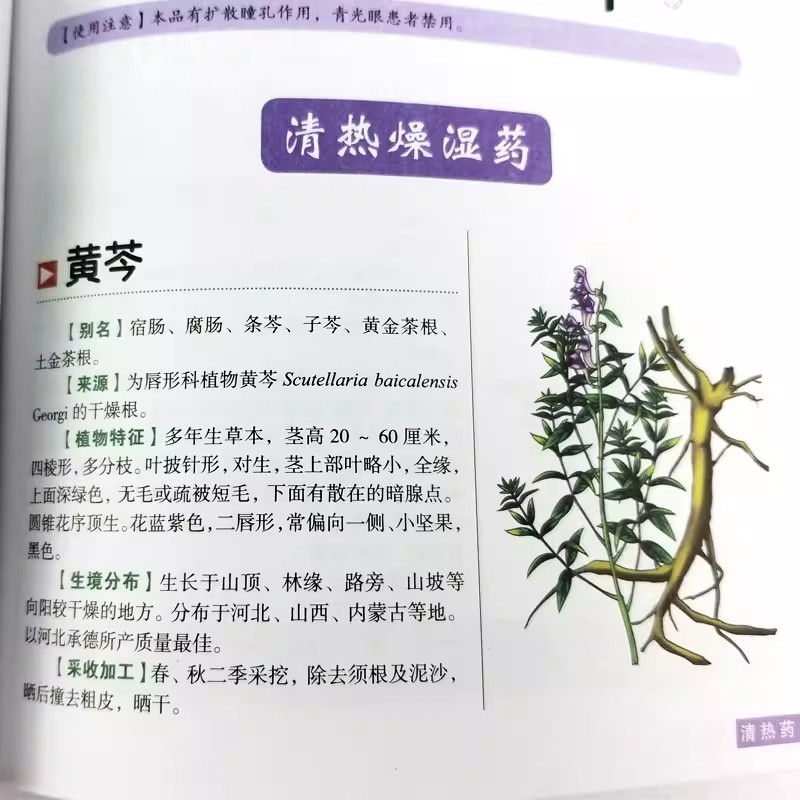 Das alte Herbarium: Ein ganzhe – Wellness Herbal Medicine Bewertung und Preis